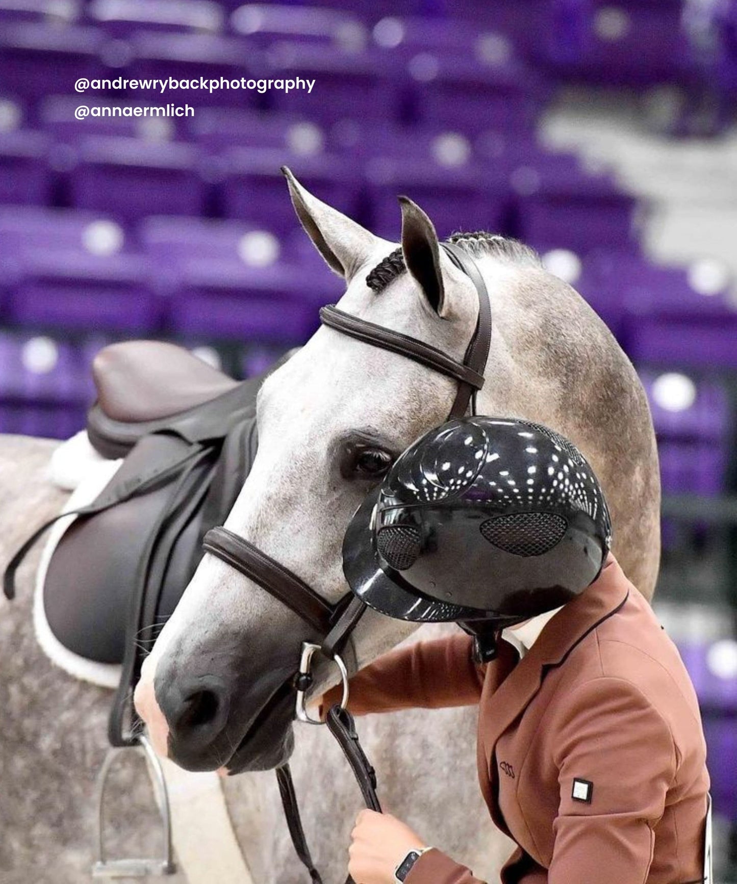 ExionPro 'Hercules' Padded Hunter Bridle with Reins