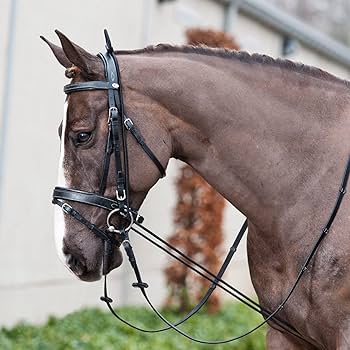 Equinavia Horze Adjustable Neck Stretcher for Horse