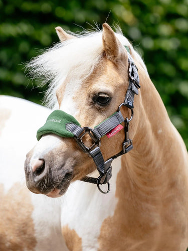 LeMieux Vogue Mini Headcollar and Lead Rope for Mini Horse - Cranberry
