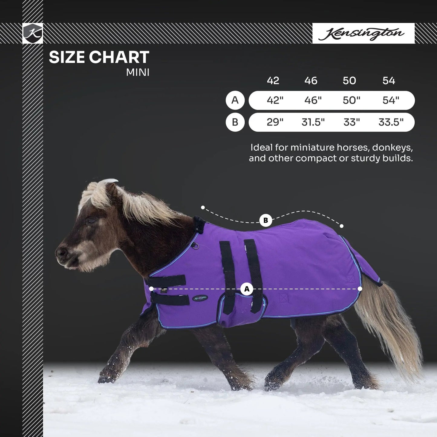 Mini 300G Heavy Weight Horse Winter Turnout Blanket - Waterproof & Breathable - Riders Choice Supply Co