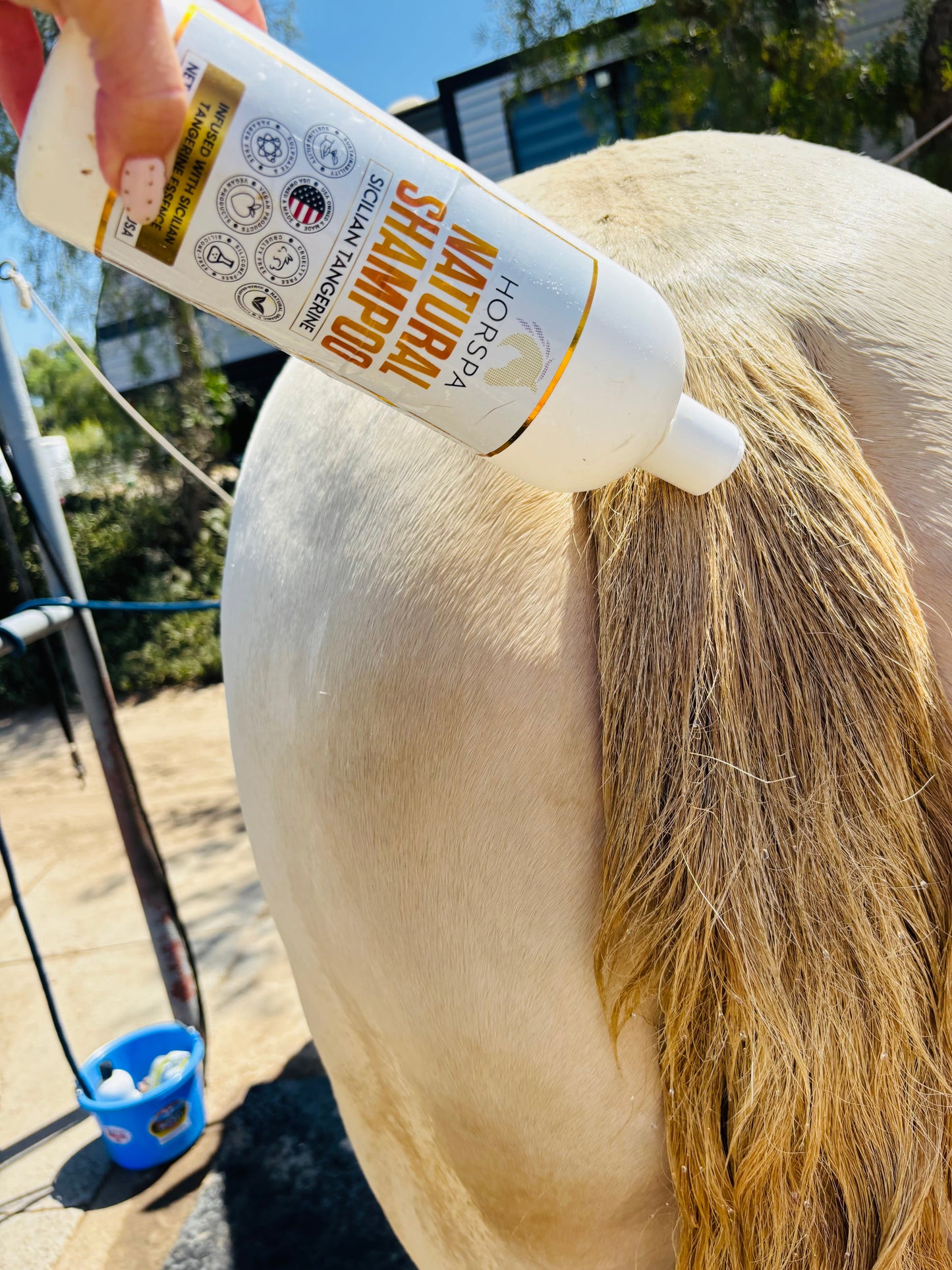 Natural Horse Shampoo Sicilian Tangerine 32oz