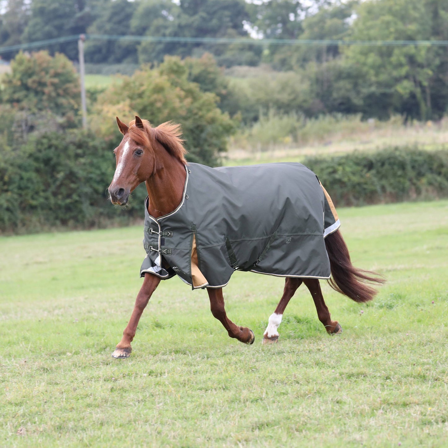 Shires Equestrian Highlander Plus Lite Standard Size 81 Green - Riders Choice Supply Co