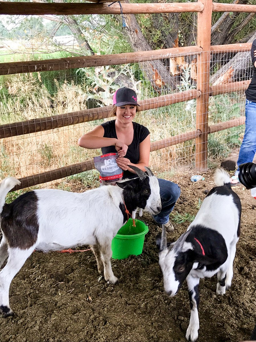 Goat Mineral - Riders Choice Supply Co