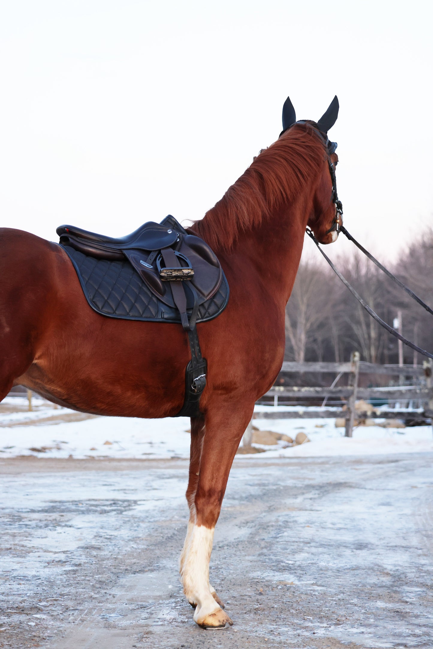Jump Saddle Pad | Black Ice - Riders Choice Supply Co