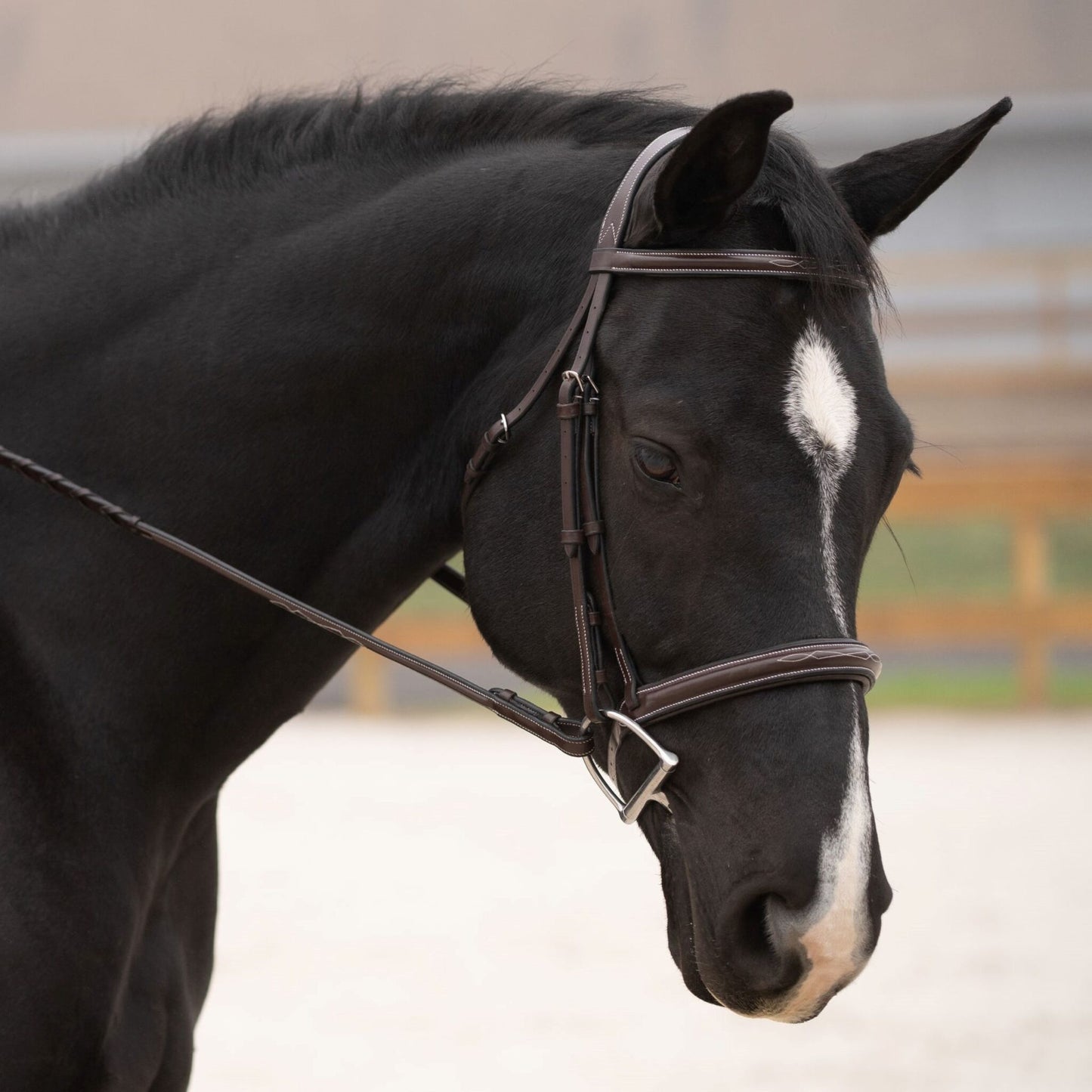 KL Select Black Oak Cyprus Bridle