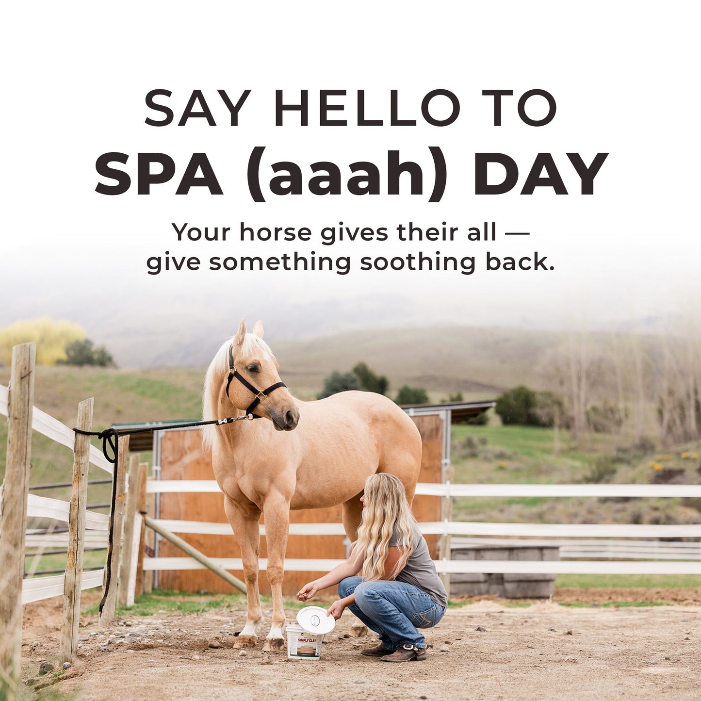 Simply Clay® Horse Poultice - Riders Choice Supply Co