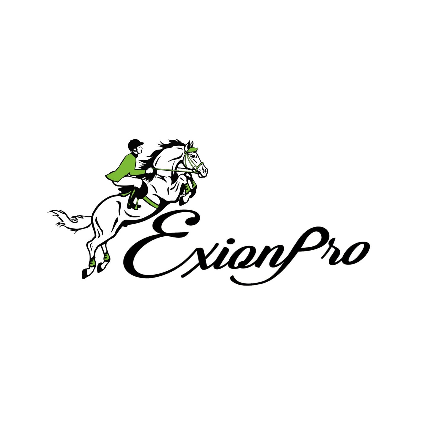 ExionPro Red Bling Padded Dog Leash