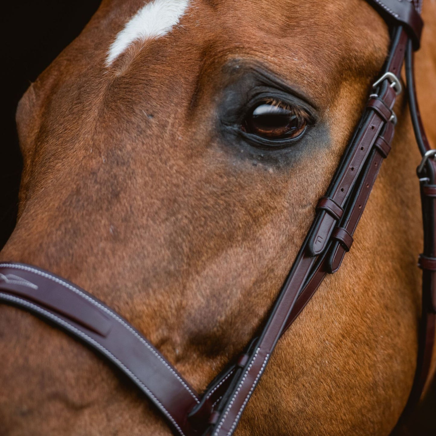 KL Select Red Barn Indio Bridle