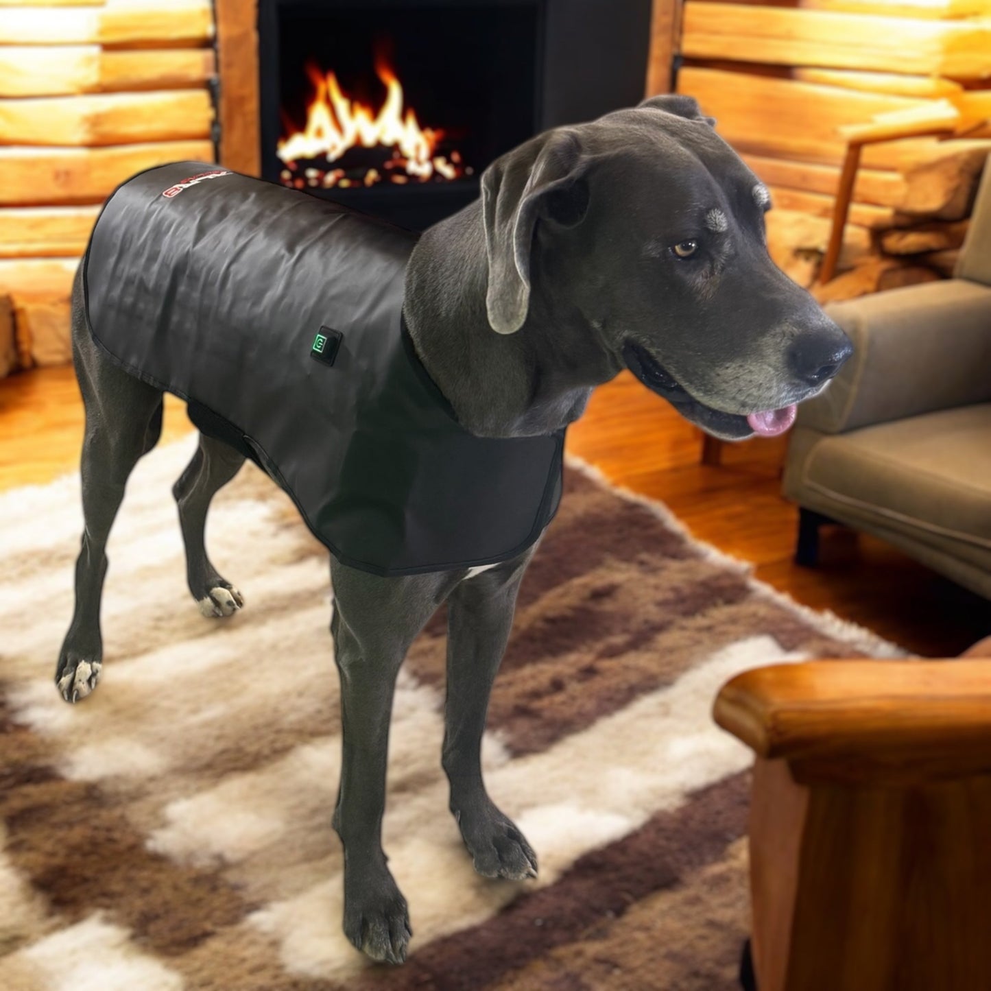 Redline Dog Wrap- Large - Riders Choice Supply Co