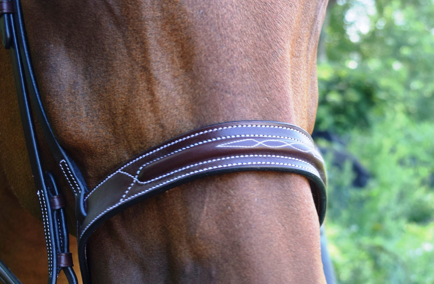 KL Select Red Barn Sonoma Bridle