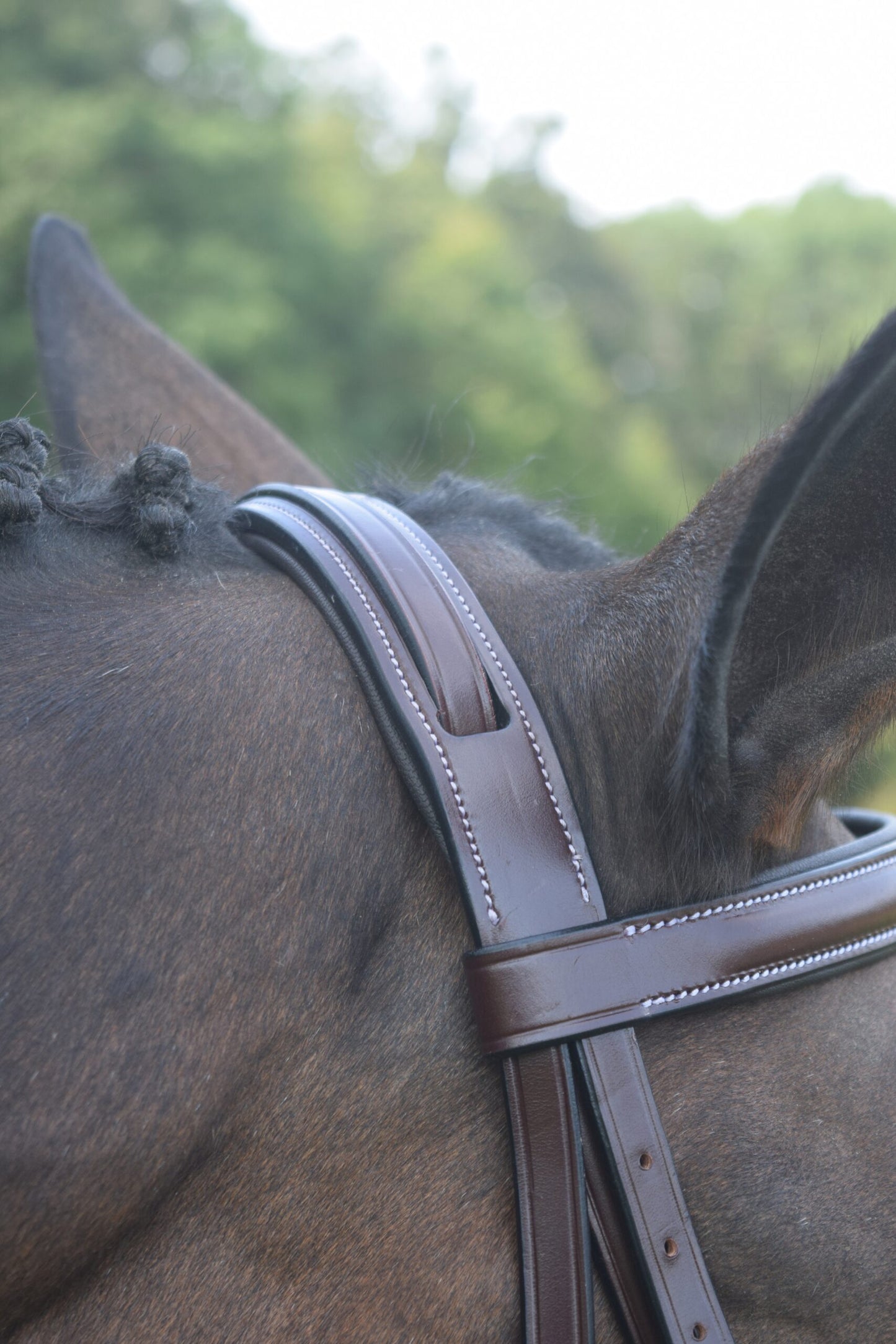 KL Select Red Barn Spirit Bridle