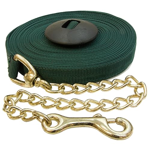Lunge Whip with 4' Drop