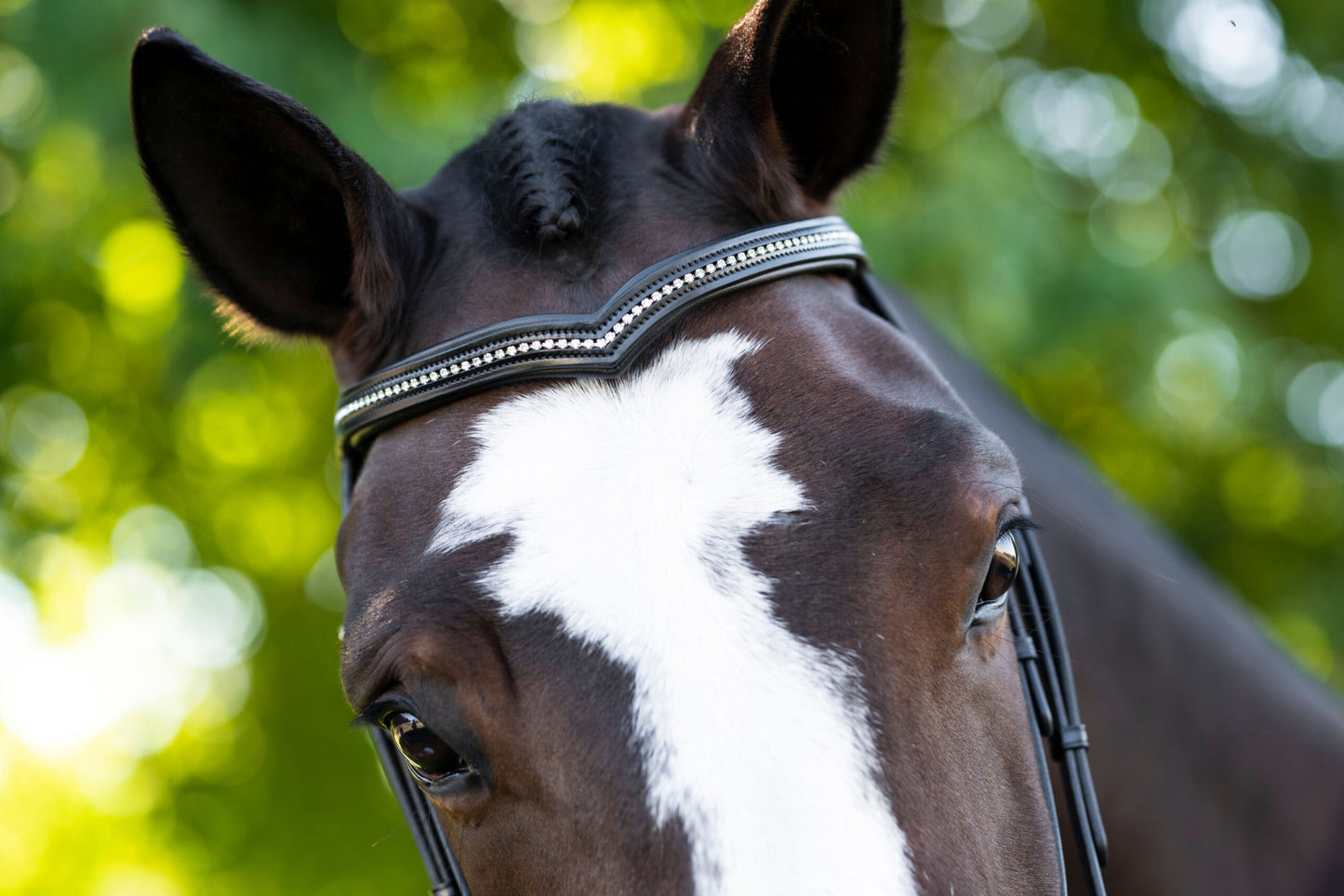 KL Select Pirouette Bridle