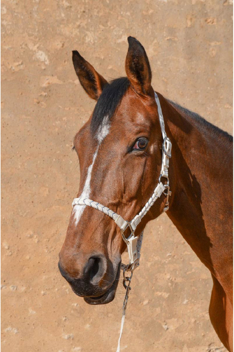 Hacker Halter & Lead Rope - Riders Choice Supply Co