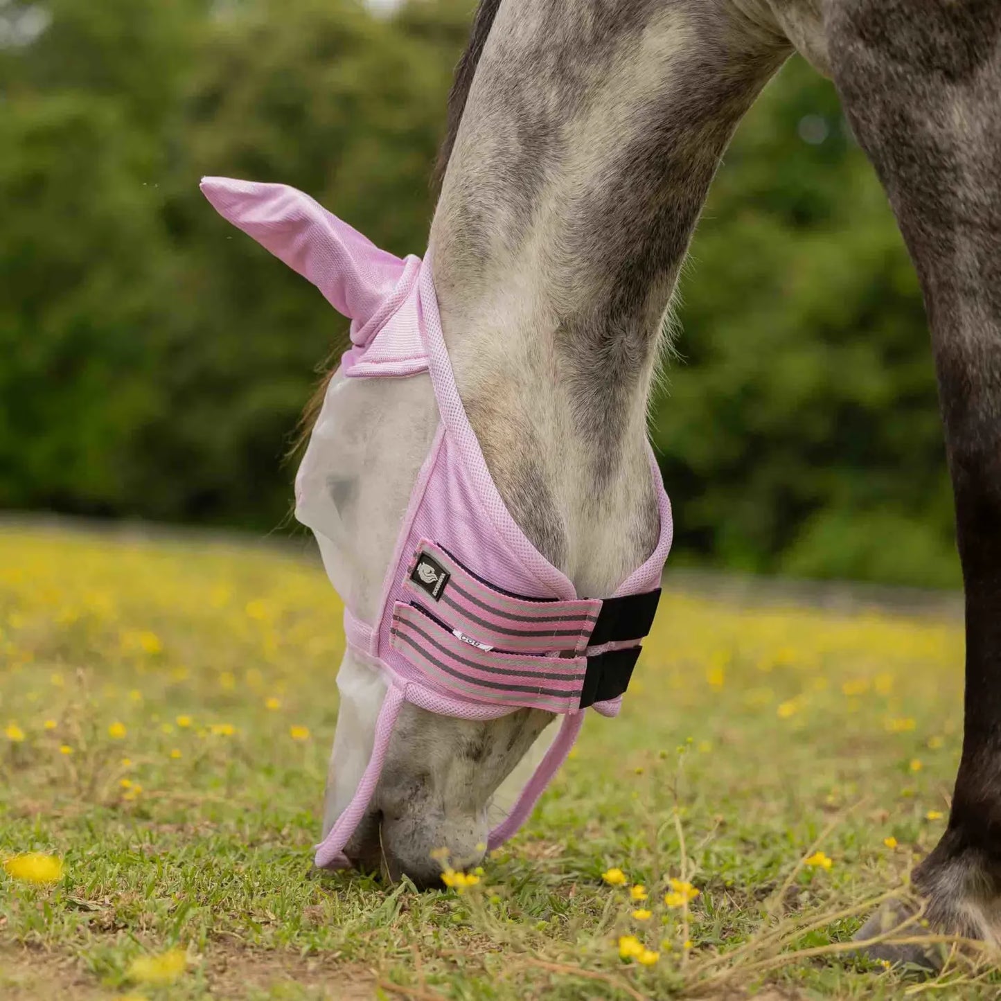 Equinavia Algard Soft Mesh Long Nose Fly Mask