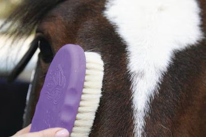 Tail Tamer by Professional's Choice Goat Hair Face Horse Brush, Assorted,