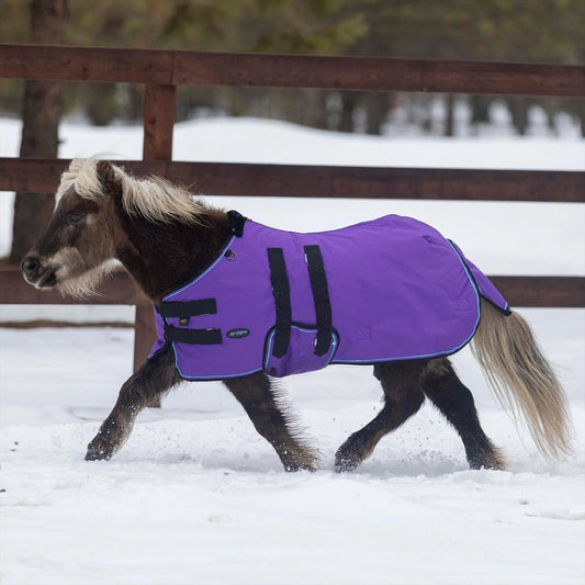 Mini 300G Heavy Weight Horse Winter Turnout Blanket - Waterproof & Breathable - Riders Choice Supply Co