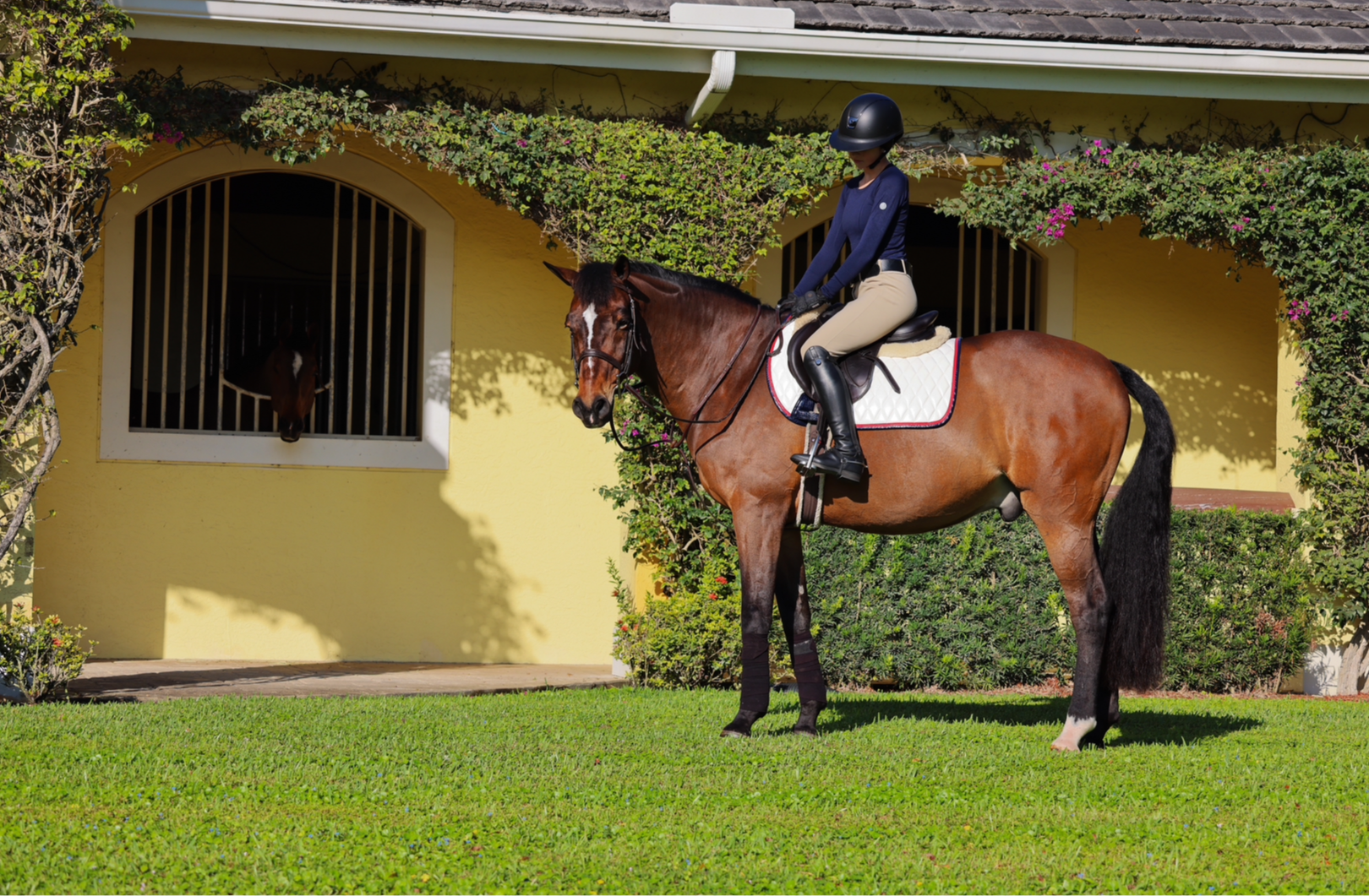 Jump Saddle Pad | White - Riders Choice Supply Co