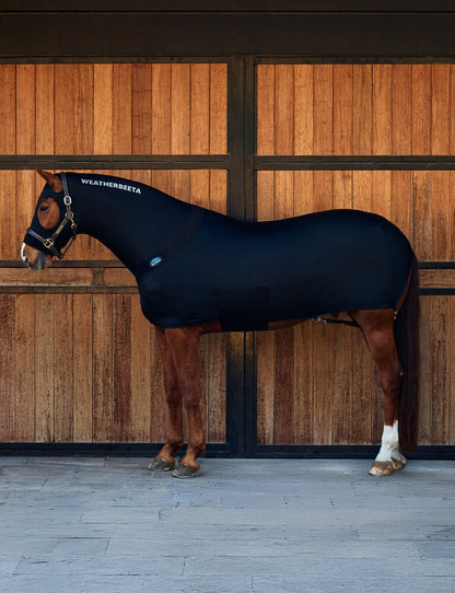 WEATHERBEETA  Stretch Blanket