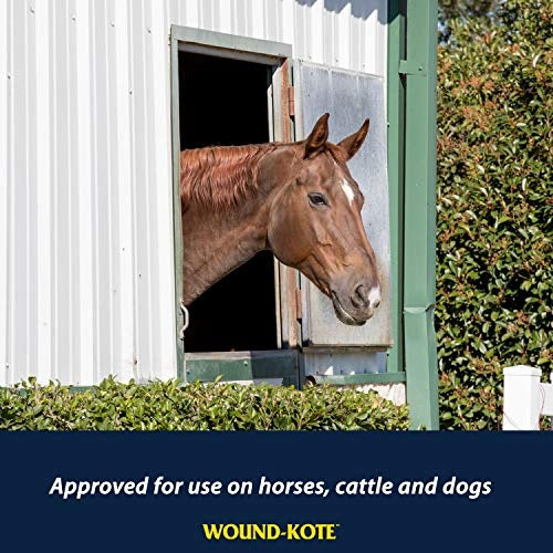 Farnam Wound-Kote Spray 7 OZ - Riders Choice Supply Co