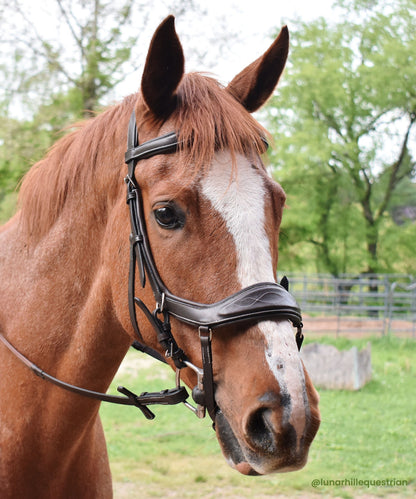 ExionPro 'Auriga' Anti-Pressure Bridle with Reins