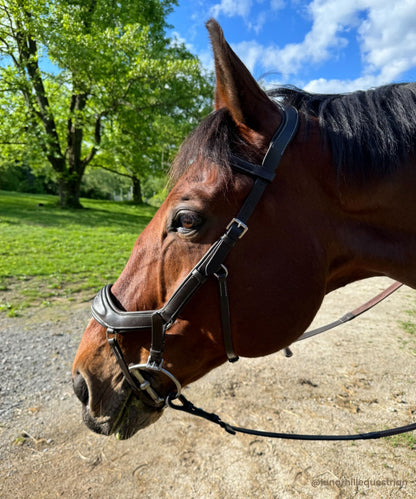 ExionPro 'Auriga' Anti-Pressure Bridle with Reins