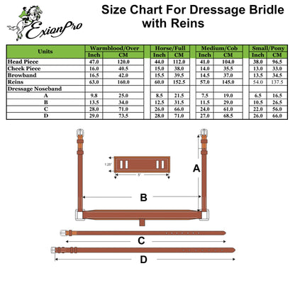 ExionPro Anatomical Dressage Bridle with Reins