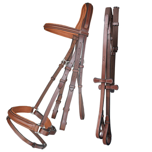 ExionPro Pressure Relief Crown Dressage Bridle with Web Reins