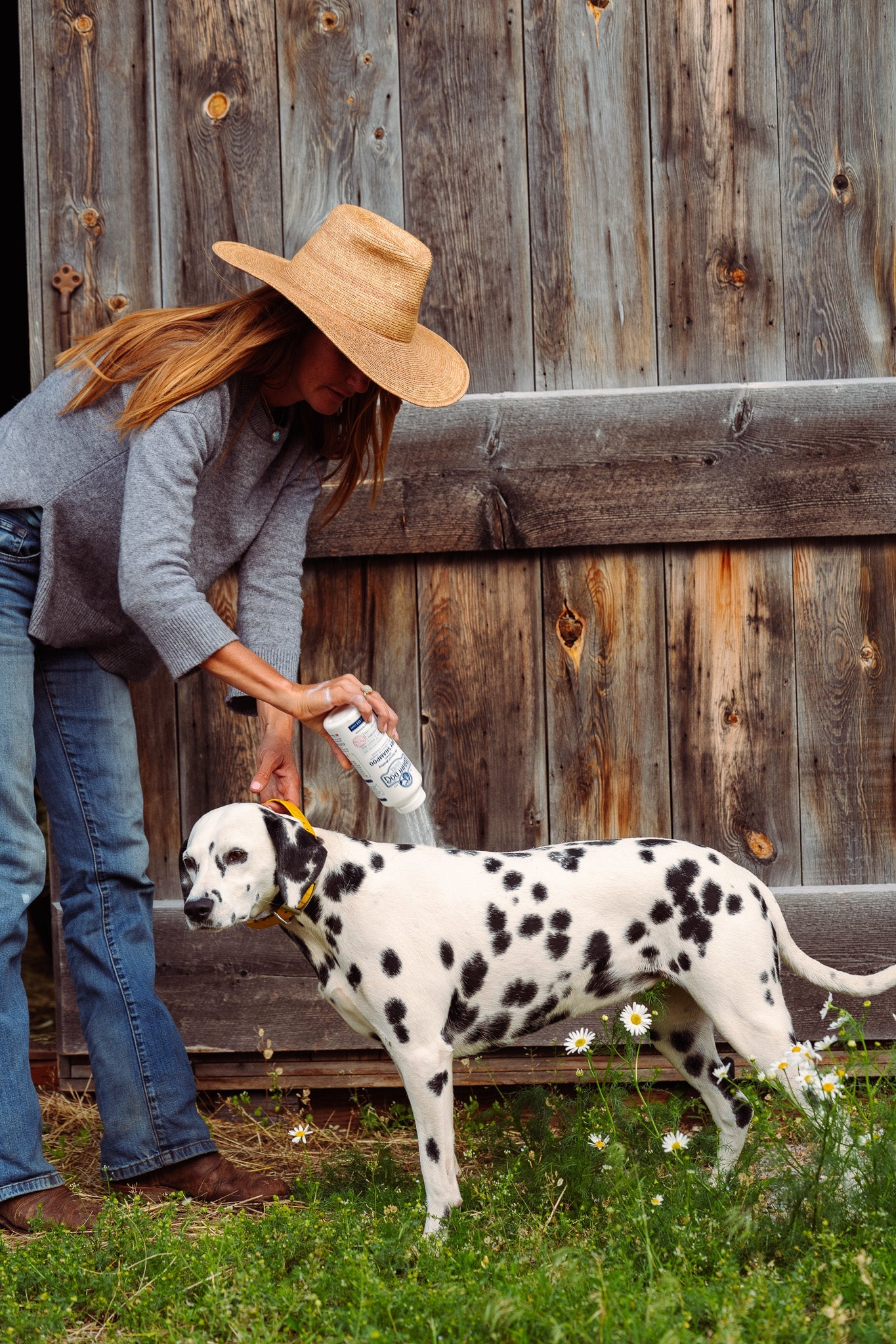 Barn Dog Dry Shampoo - Riders Choice Supply Co