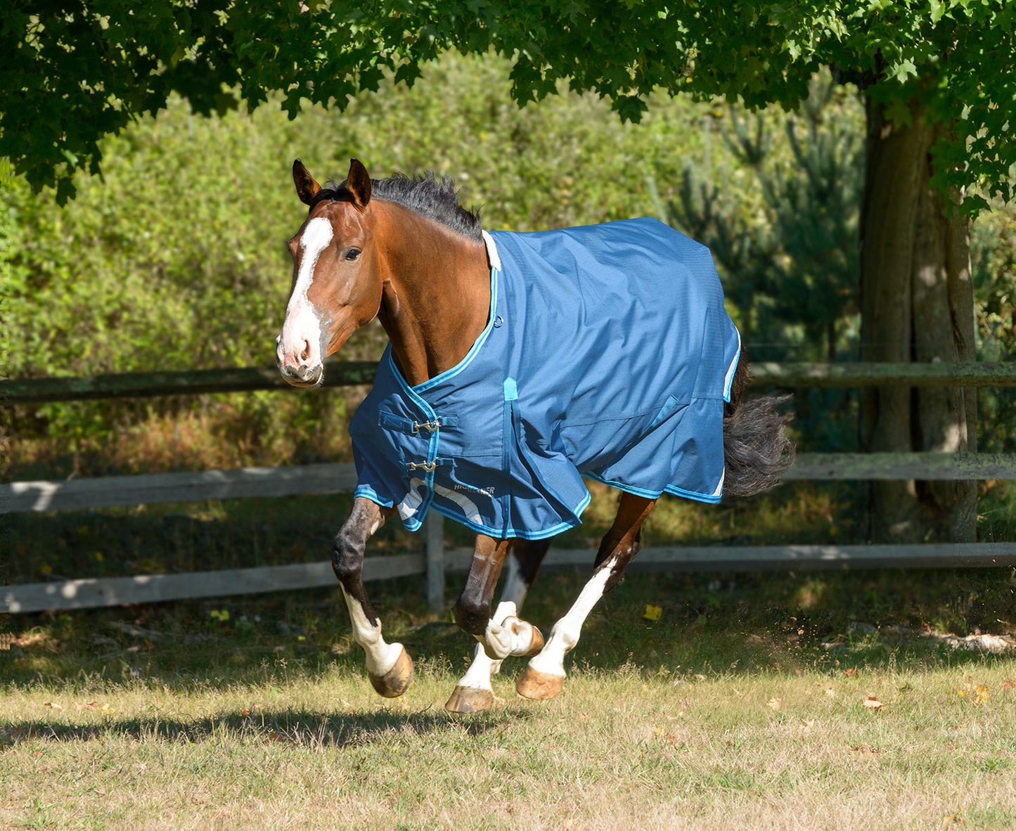 Shires Equestrian Highlander Lite Turnout 84 Teal/Turquoise - Riders Choice Supply Co