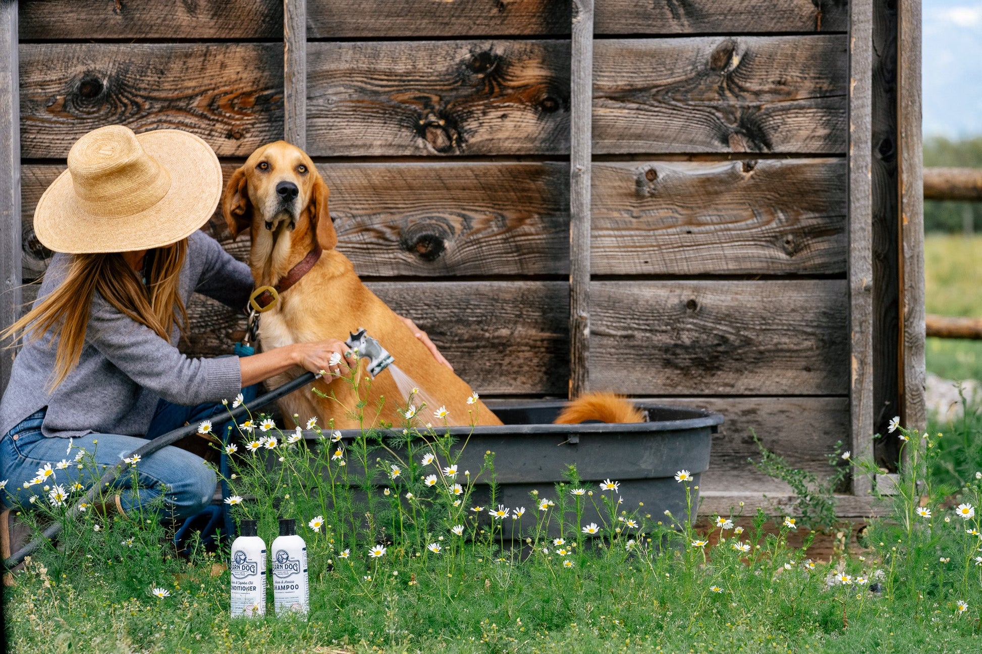 Barn Dog Shampoo - Riders Choice Supply Co