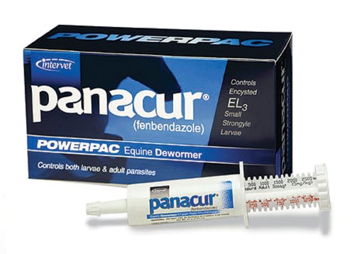 DURVET Panacur Powerpac Fenbendazole Paste Wormer, 57g 5-Pack - Riders Choice Supply Co