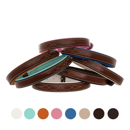 ExionPro Fancy Stitched Padded Leather Dog Collar - Sky Blue Padding