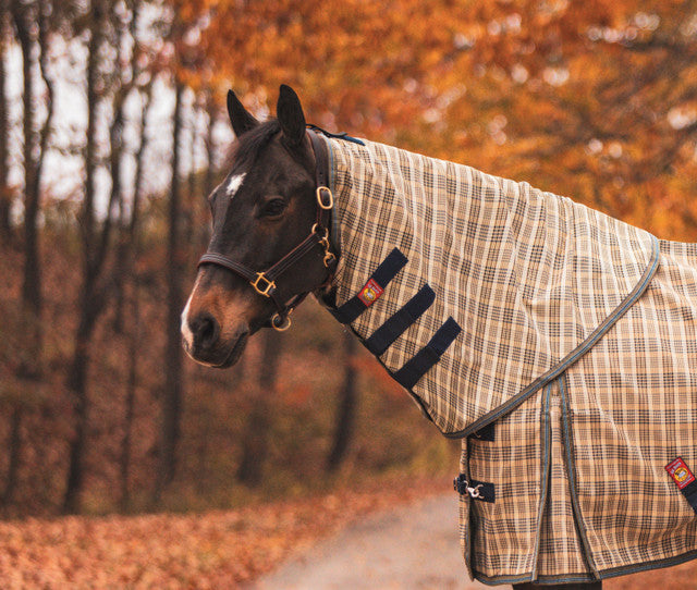5/A Baker® Neck Cover for Turnout Sheet Medium 68-74" 0g - Riders Choice Supply Co