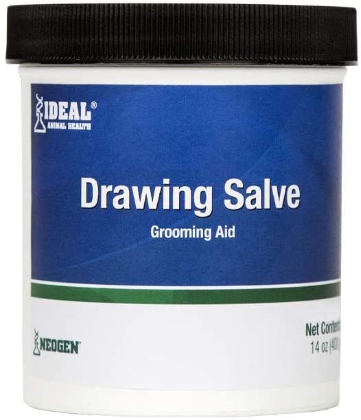 Neogen Ichthammol Drawing Salve 14 Oz - Riders Choice Supply Co