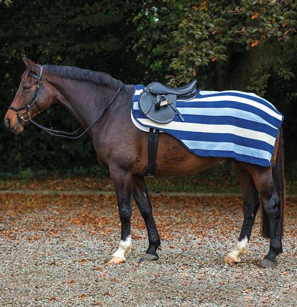 Horseware RAMBO Newmarket Competition Sheet, Witney Navy Small - Riders Choice Supply Co