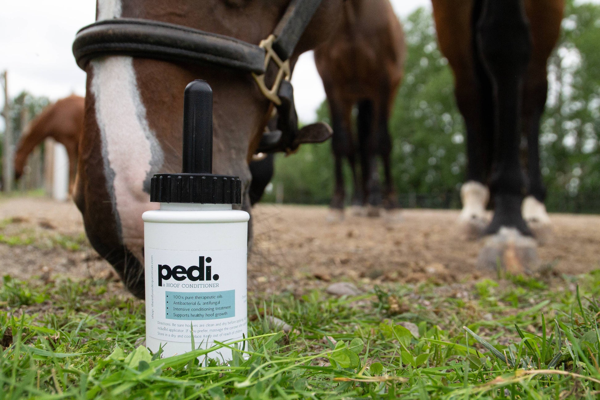 Pedi. A Hoof Conditioner (half pint/pint) - Riders Choice Supply Co