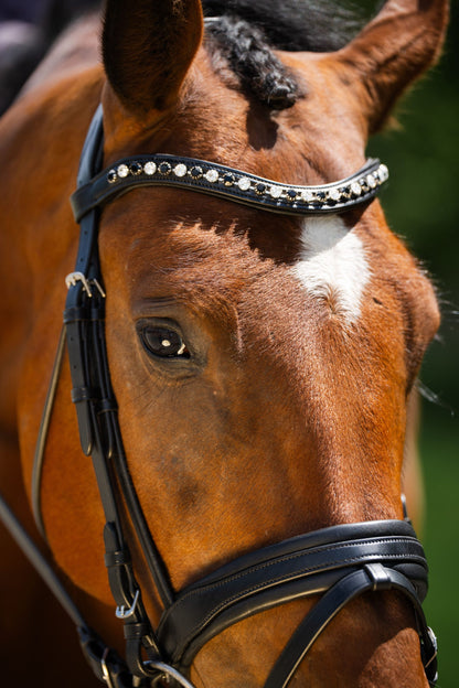KL Select Black Oak Daphne Bridle