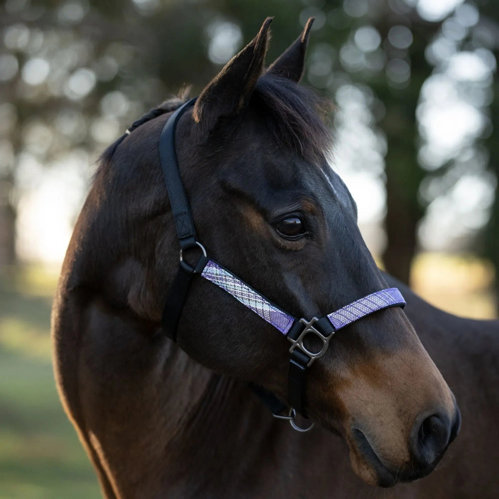 Reflective Breakaway Nylon Halter with Textliene - Riders Choice Supply Co