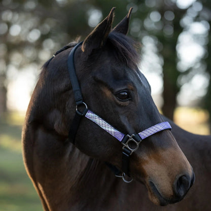 Reflective Breakaway Nylon Halter with Textliene - Riders Choice Supply Co
