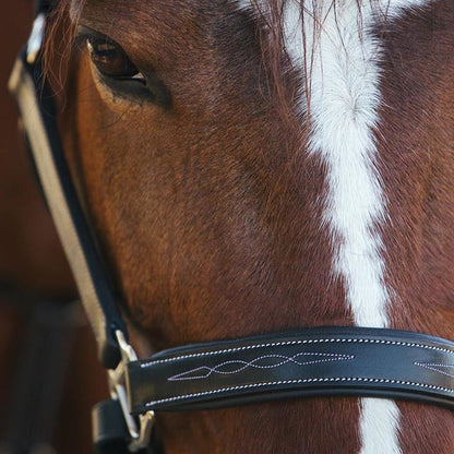 ExionPro Fancy Stitched Halter - Brass Nickel Hardware