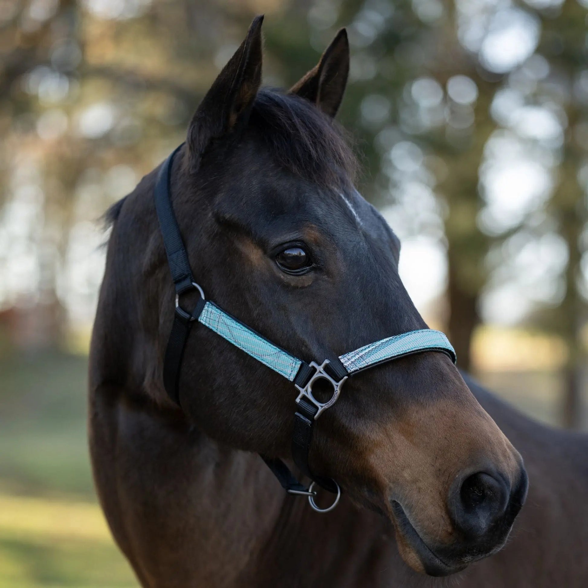 Reflective Breakaway Nylon Halter with Textliene - Riders Choice Supply Co