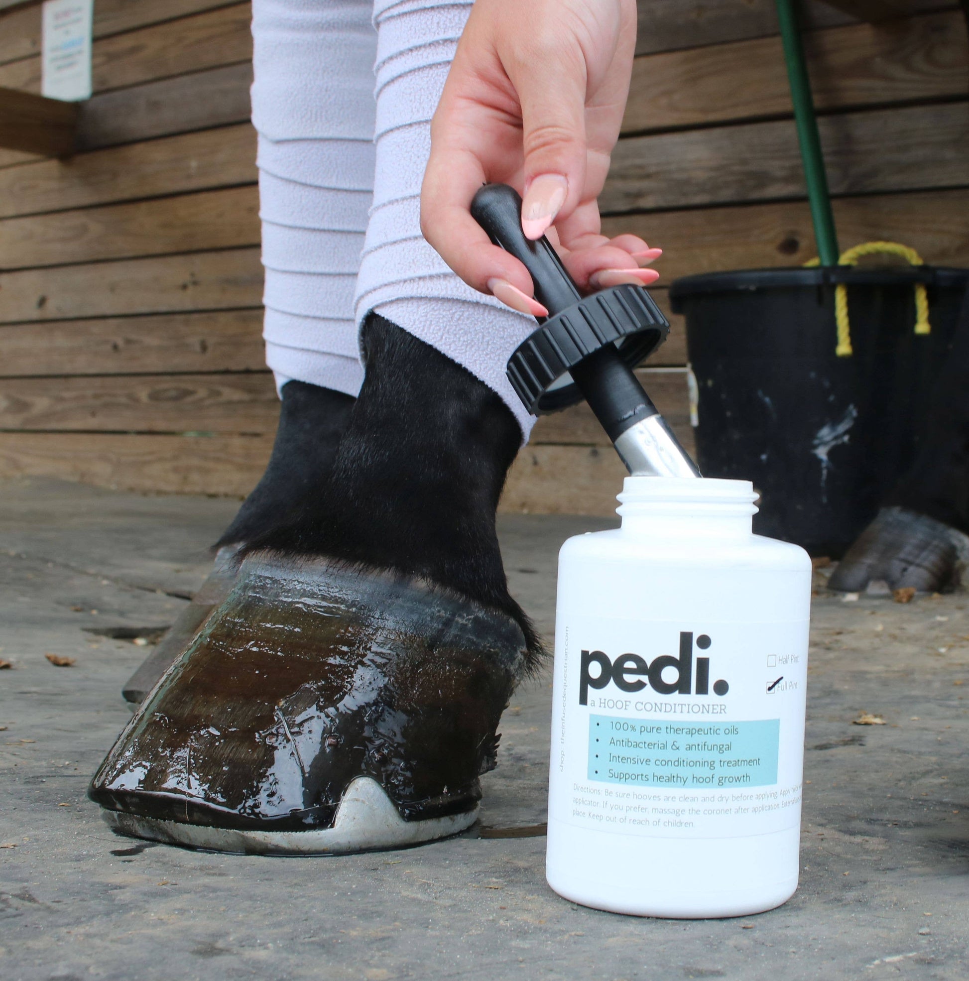 Pedi. A Hoof Conditioner (half pint/pint) - Riders Choice Supply Co