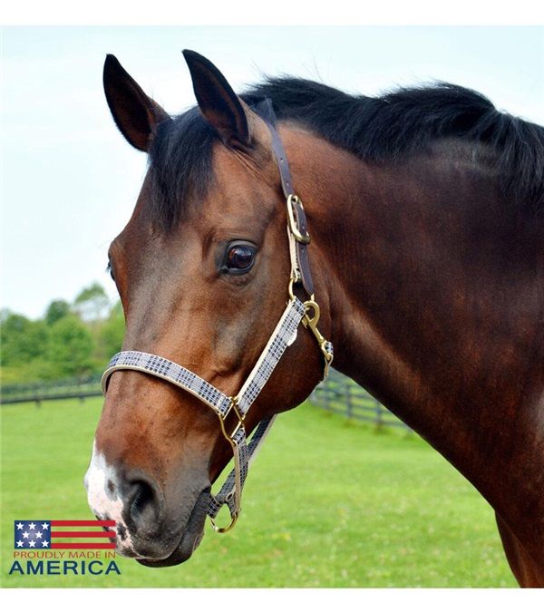 5/A Baker® Breakaway Nylon Halter with Full Leather Crown 1" - Riders Choice Supply Co