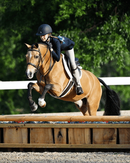 KL Select Black Oak Laurel Bridle
