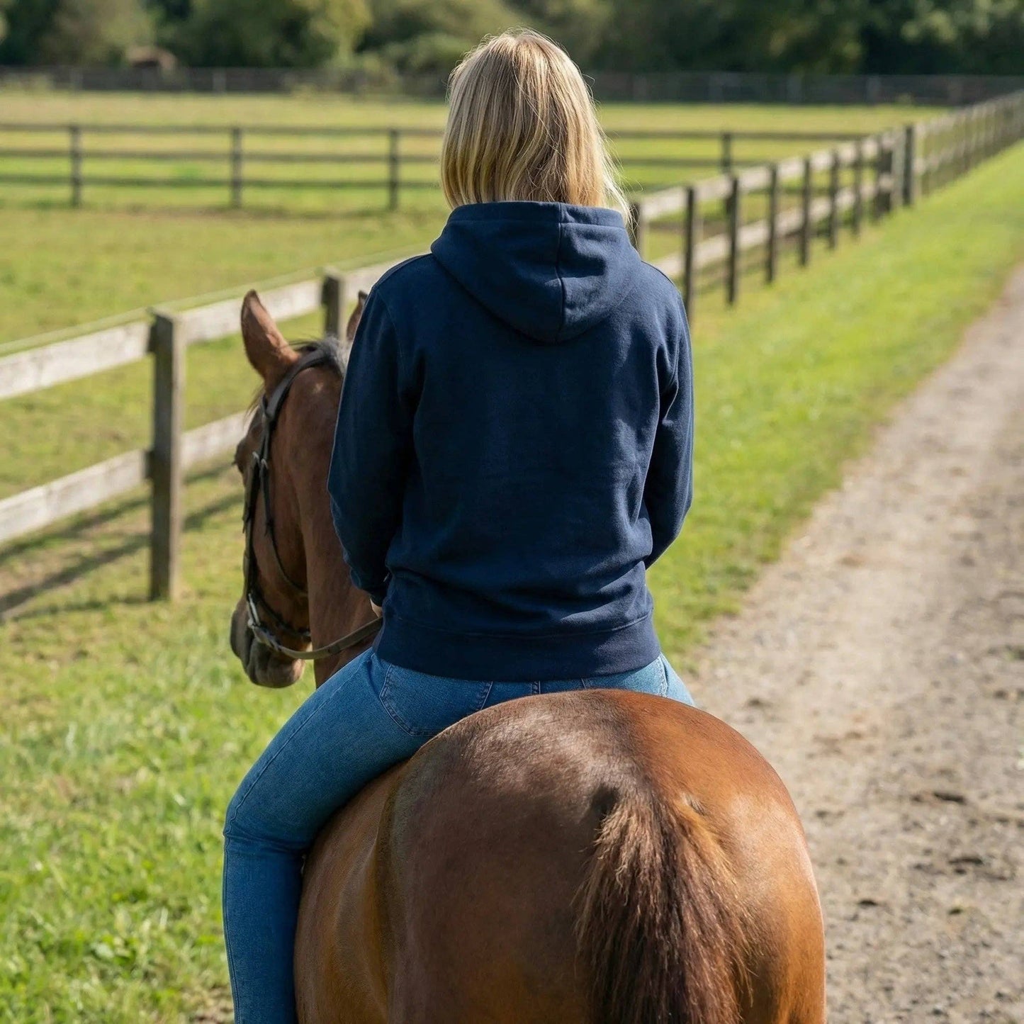 Fortuna Horseshoe Embroidered Hoodie