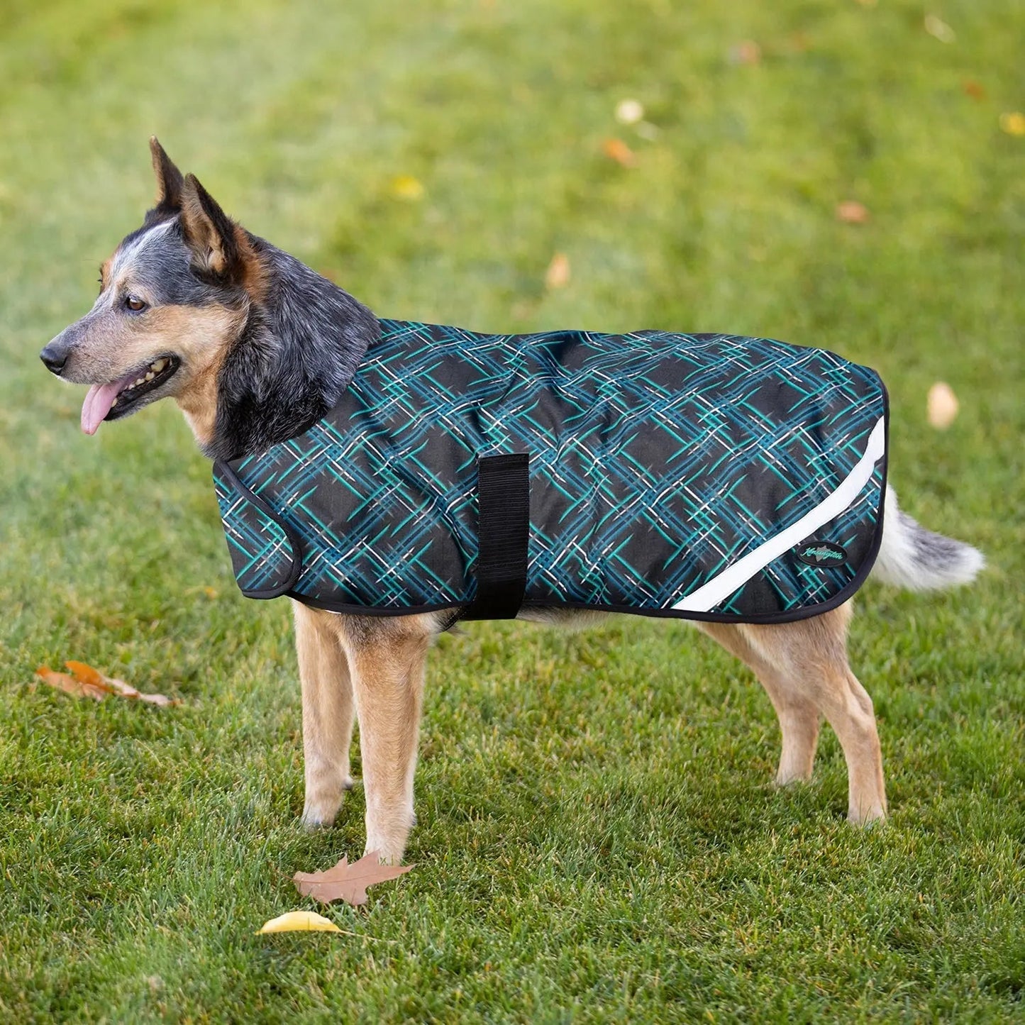 Winter Dog Coat - 180G Medium Weight - Waterproof & Breathable - Riders Choice Supply Co