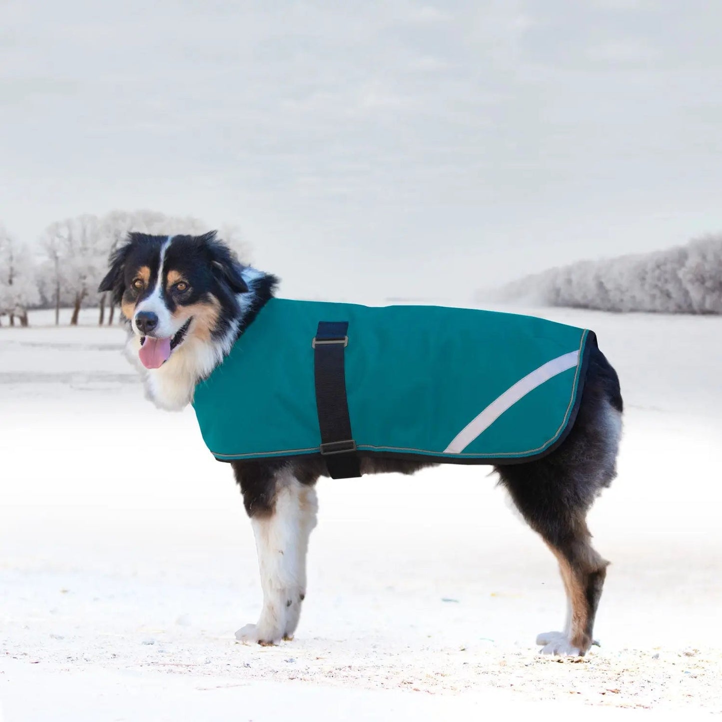 Winter Dog Coat - 180G Medium Weight - Waterproof & Breathable - Riders Choice Supply Co
