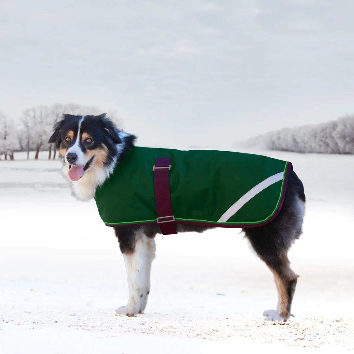 Winter Dog Coat - 180G Medium Weight - Waterproof & Breathable - Riders Choice Supply Co