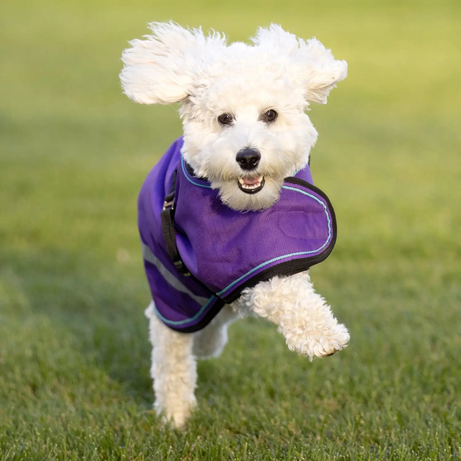 Winter Dog Coat - 180G Medium Weight - Waterproof & Breathable - Riders Choice Supply Co